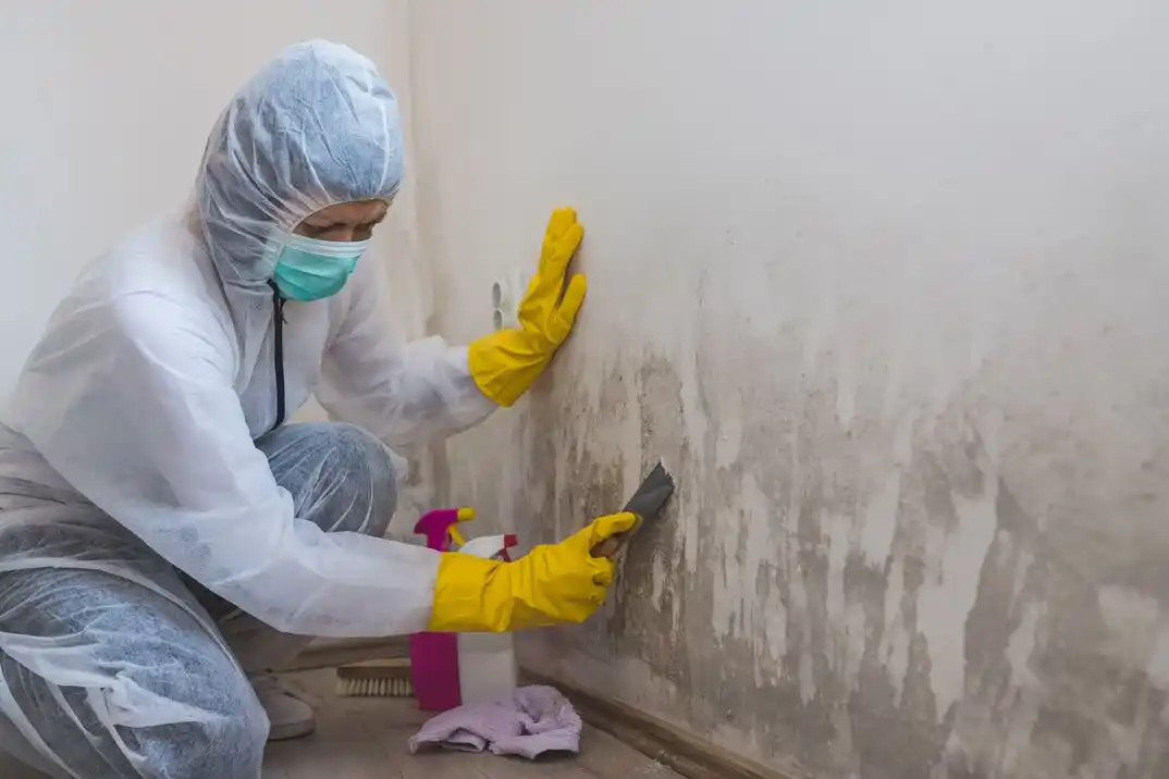 water damage restoration service Ivanhoe Northeast